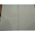 GOOD QUALITY PLAIN REGISTER Diaries-printed-plain- register- 188.0 Pages