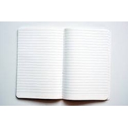 Unbranded PLAIN REGISTER Diaries-printed-plain- register- 50.0 Pages