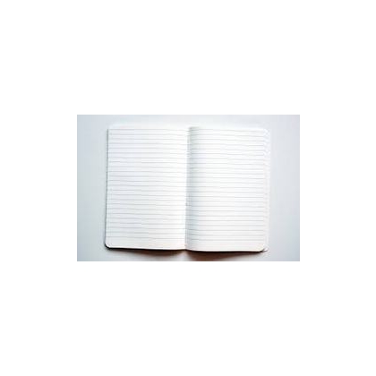 Unbranded PLAIN REGISTER Diaries-printed-plain- register- 50.0 Pages