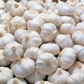 Garlic 1 kg