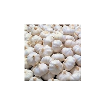 Garlic 1 kg