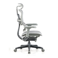 Featherlite Revolving Chair with Active bio synchro mechanism