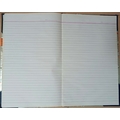 Unbranded all types Diaries-printed-plain- register- 100 Pages