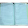 Forms Centre PLAIN REGISTER Diaries-printed-plain- register- 500 Pages