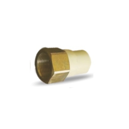 PRAYAG 20 mm dia Female adapter brass threaded