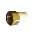 Unbranded 50 mm dia female thread adapter(brass insert)