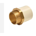 Astral 50 mm dia Male thread adapter(brass insert)