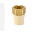 Astral 50 mm dia Female adapter brass threaded