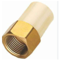 Astral 50 mm dia Female adapter brass threaded