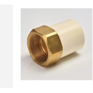 Astral 50 mm dia Female adapter brass threaded