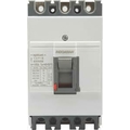 indoasian 800 A 4 Pole 50 KA Molded Case Circuit Breakers (Mccb)