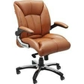 SIYA OFFICE SYSTEMS Revolving Chair with Synchronic tilt mechanism