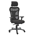 SIYA OFFICE SYSTEMS Revolving Chair with Knee tilt Synchronic mechanism