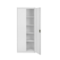 DNR SYSTEMS Almirah Steel shelving cabinets