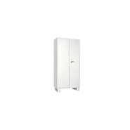 DNR SYSTEMS Almirah Steel wardrobe(having cloth hanging provision)