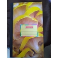 COMMTRA PLAIN REGISTER Diaries-printed-plain- register- 100 Pages