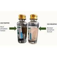 Water testing for fecal contamination