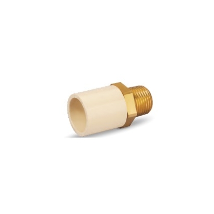 PRAYAG 20 mm dia Male adapter brass threaded