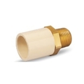 PRAYAG 20 mm dia Male adapter brass threaded