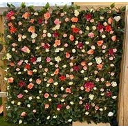 ARTIFICIAL FLOWERS WITH VERTICAL FENCE