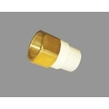 PARAS 15 mm dia Reducing Female adapter brass threaded