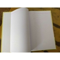 VISION PLAIN REGISTER Diaries-printed-plain- register- 72 Pages