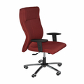 SHUBH-ASHIRWAD--JAI LUXMI STEEL INDUSTRIES Revolving Chair with Knee tilt Synchronic mechanism