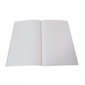 TAXFORMENTERPRISES Single Line Ruled Diaries-printed-plain- register- 288 Pages