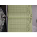 TAXFORMENTERPRISES Plain Diaries-printed-plain- register- 400 Pages