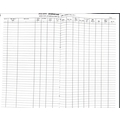 TAXFORMENTERPRISES CASH BOOK REGISTER Diaries-printed-plain- register- 400 Pages