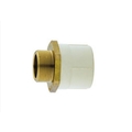 Vectus 25 mm dia Male adapter brass threaded