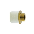 Vectus 25 mm dia Male adapter brass threaded