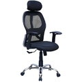 TANISHKA SEATING SYSTEM--TANISHKA SEATING SYSTEM Revolving Chair with Active bio synchro mechanism