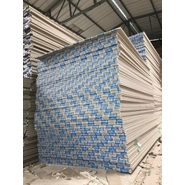 Gypsum Board