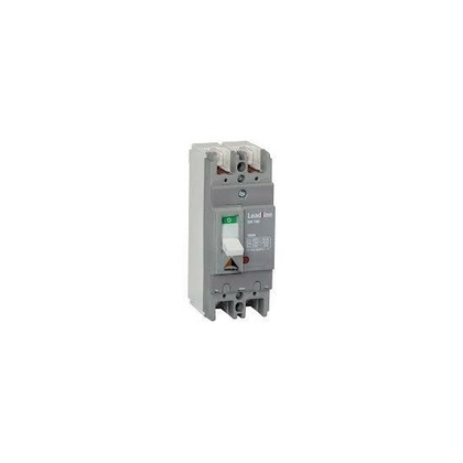 ADHUNIK 32A 2 Pole 16 KA Molded Case Circuit Breakers (Mccb)