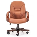 SHRIVASTAVA CHAIR Revolving Chair with Center tilt mechanism