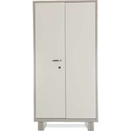 DURIAN Almirah Steel shelving cabinet with partial wardrobe