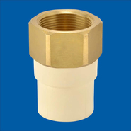 Astral 20 mm dia female thread adapter(brass insert)