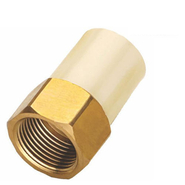 PRAYAG 20 mm dia Female adapter brass threaded