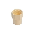 PRAYAG 25 mm dia Female Adapter Plastic threaded(SCH 80)