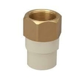 PRAYAG 20 mm dia Female thread adapter(plastic)