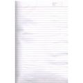 KAYPEE PLAIN REGISTER Diaries-printed-plain- register- 100 Pages