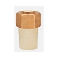 ASHIRVAD 20 mm dia female thread adapter(brass insert)