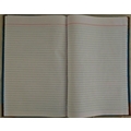 Unbranded PLAIN REGISTER Diaries-printed-plain- register- 100 Pages