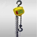 Safelift Hand Operated Chain Pulley Block, Warranty 1 year