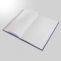 ABD PLAIN REGISTER Diaries-printed-plain- register- 500 Pages