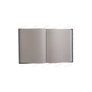 ABD PLAIN REGISTER Diaries-printed-plain- register- 500 Pages