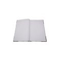 Unbranded RULED REGISTER Diaries-printed-plain- register- 230 Pages