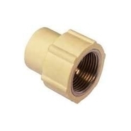 Prince 15 mm dia Reducing Female adapter brass threaded