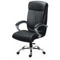 VASSIO Revolving Chair with Center tilt mechanism